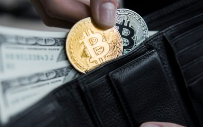 “Bitcoin the best house in a tough market”, optimism about the future of cryptocurrency