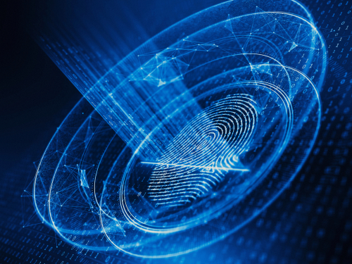 Database ID basati sulla blockchain, più sicurezza per gli utenti