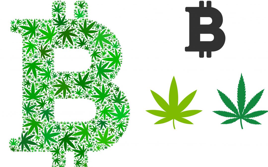 Canada, the Blockchain for the cannabis legal market