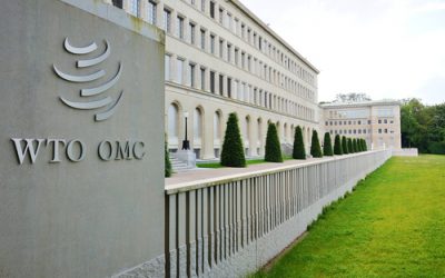 WTO: the numbers of the blockchain revolution in a report