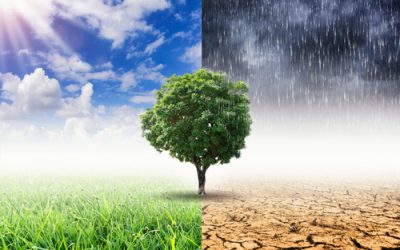 Paris Agreement, blockchain can monitor climate change