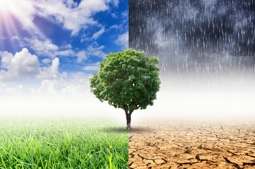 Accordi di Parigi, la blockchain può monitorare i cambiamenti climatici
