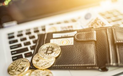 Bitcoin wallet holders increase