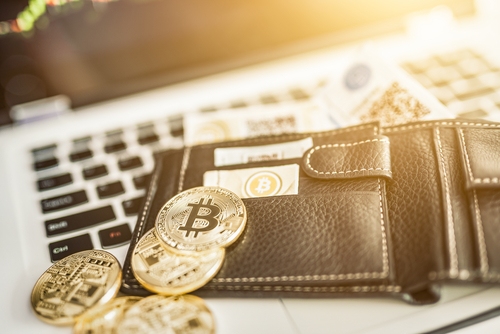 Aumentano i possessori di portafogli in bitcoin