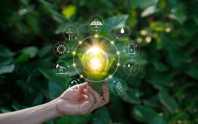 Singapore, the blockchain applied to renewable energy